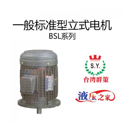 BSL一般标准型立式电机