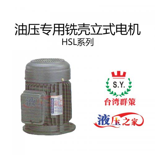 HSL油压专用铣壳立式电机