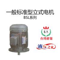 BSL一般标准型立式电机