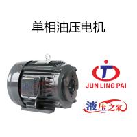 单相油压电机